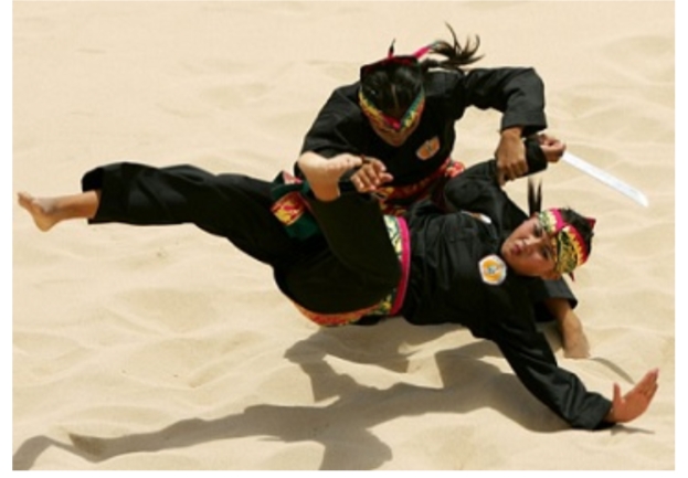 Pencak Silat Sebentar Lagi Akan di Akui Sebagai Warisan Budaya Dunia