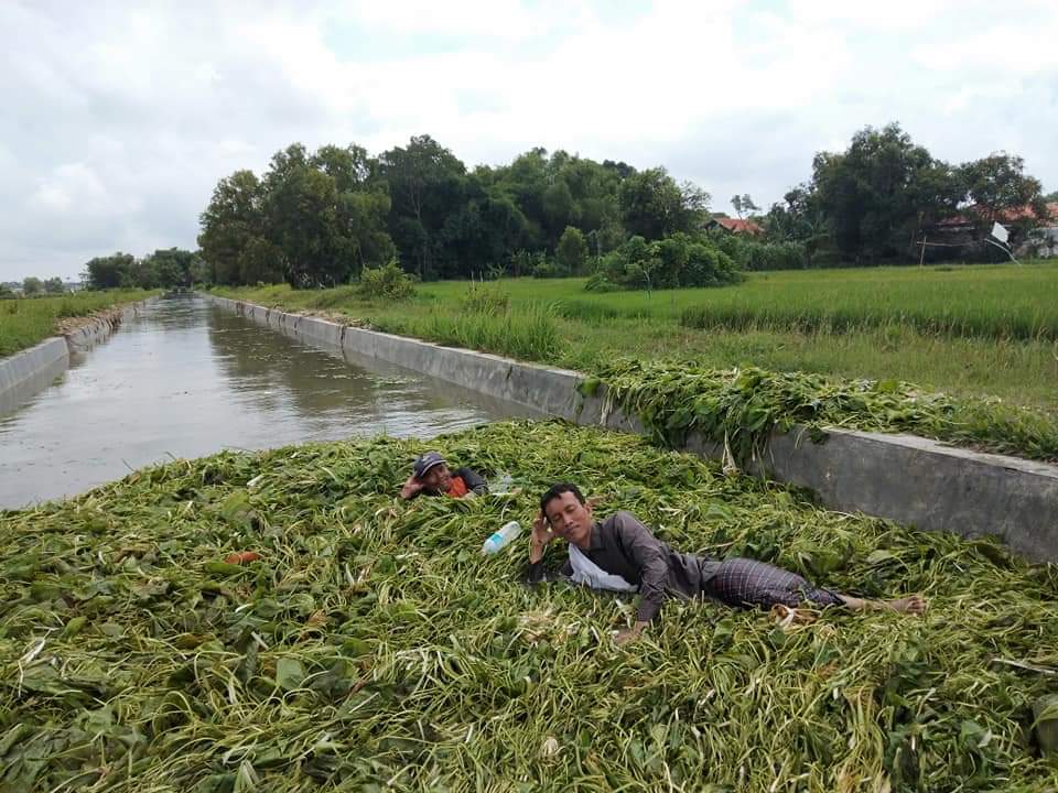 Sebuah Kritik Dibalik Foto-foto Epik Anggota DPRD Bangkakan Tidur di Hamparan Eceng Gondok