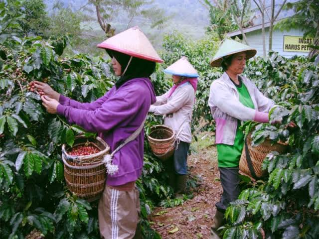 Jadi Petani Tak Lagi Gengsi