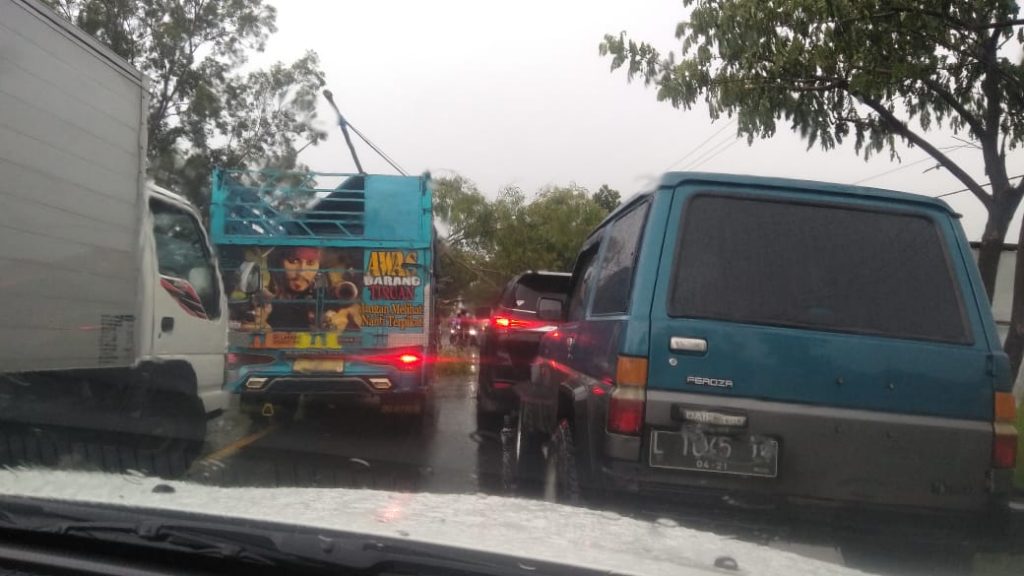 Pohon Tumbang, Jalur Blega Macet Parah