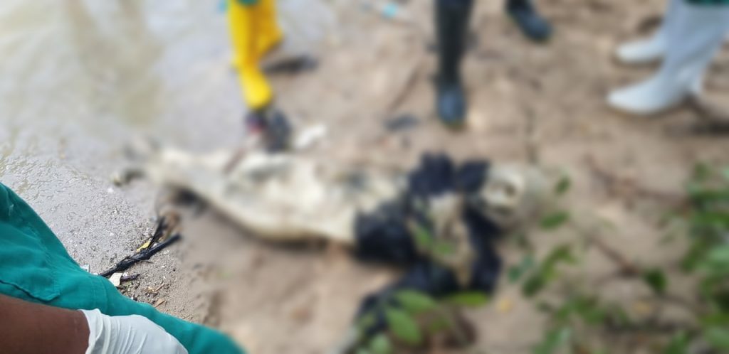Warga Bata Barat Temukan Sosok Mayat Hampir Membusuk