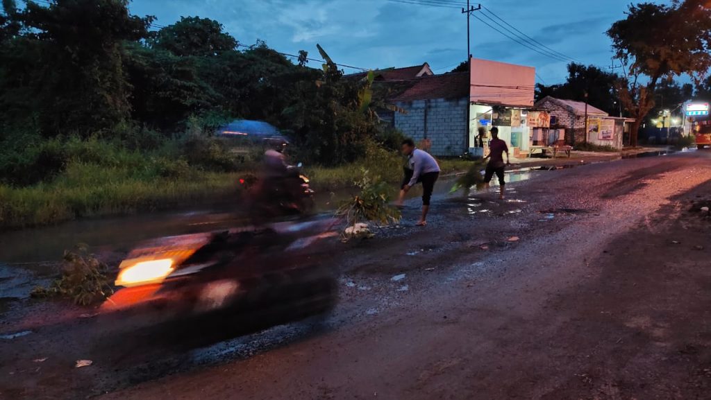 Banyak Pengendara Terperosok, Warga Tanami Pohon Jalan Halim Perdana Kusuma