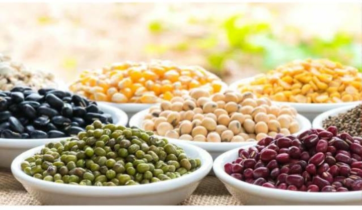 Harga Jagung Naik, Harga Kacang Hijau Turun Derastis