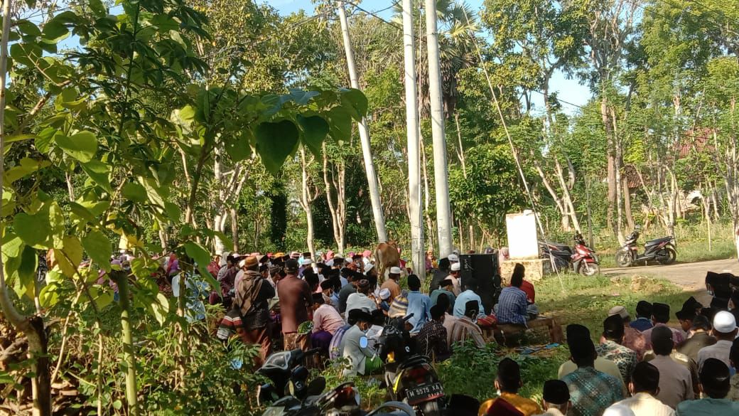 Doa Bersama dan Potong Sapi, Cara Warga Sumenep Cegah Corona, Begini Sejarahnya!