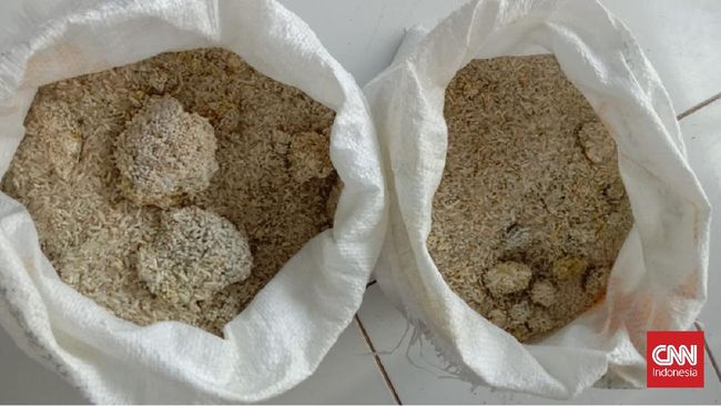 Buwas Ceritakan Duduk Perkara Dibalik Viralnya Beras Bulog Rusak di Pandeglang