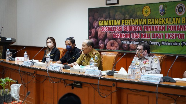 Pemkab Sampang Dukung Budidaya Porang Untuk Kebutuhan Industri Pangan Ekspor