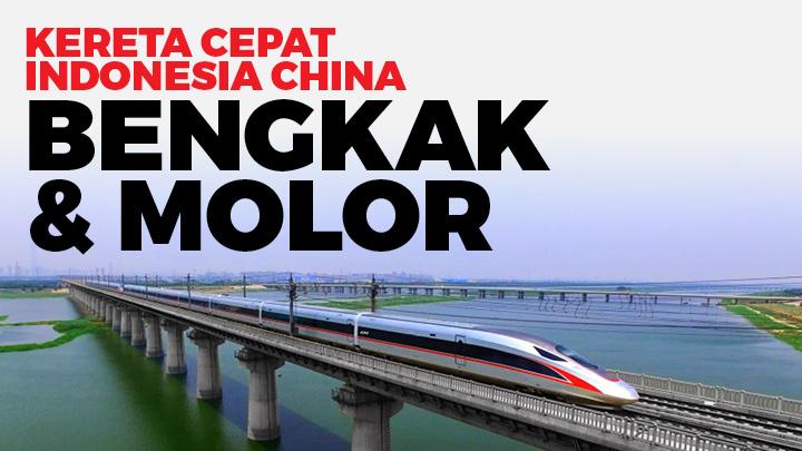 Proyek Kereta Cepat Jokowi, Faisal Basri: Tak Akan Balik Modal Sampai Kiamat