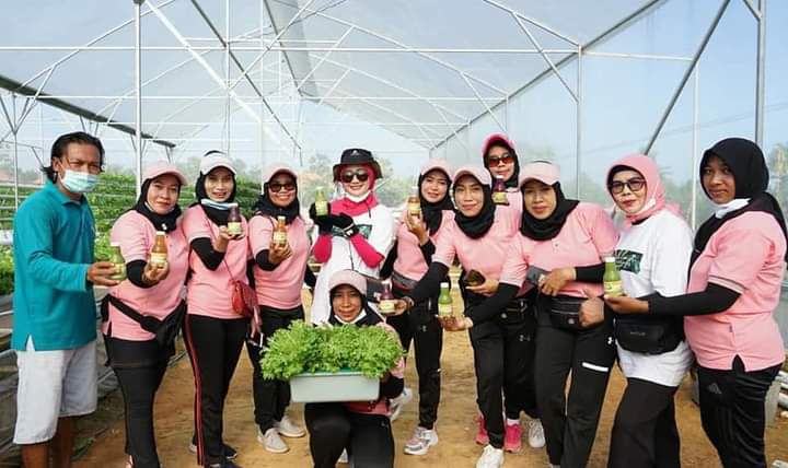 Kisah Dari Kokop: Pasangan Sarjana Pendidikan, Sukses Jadi Petani Urban Farming. Omzetnya Fantastis!