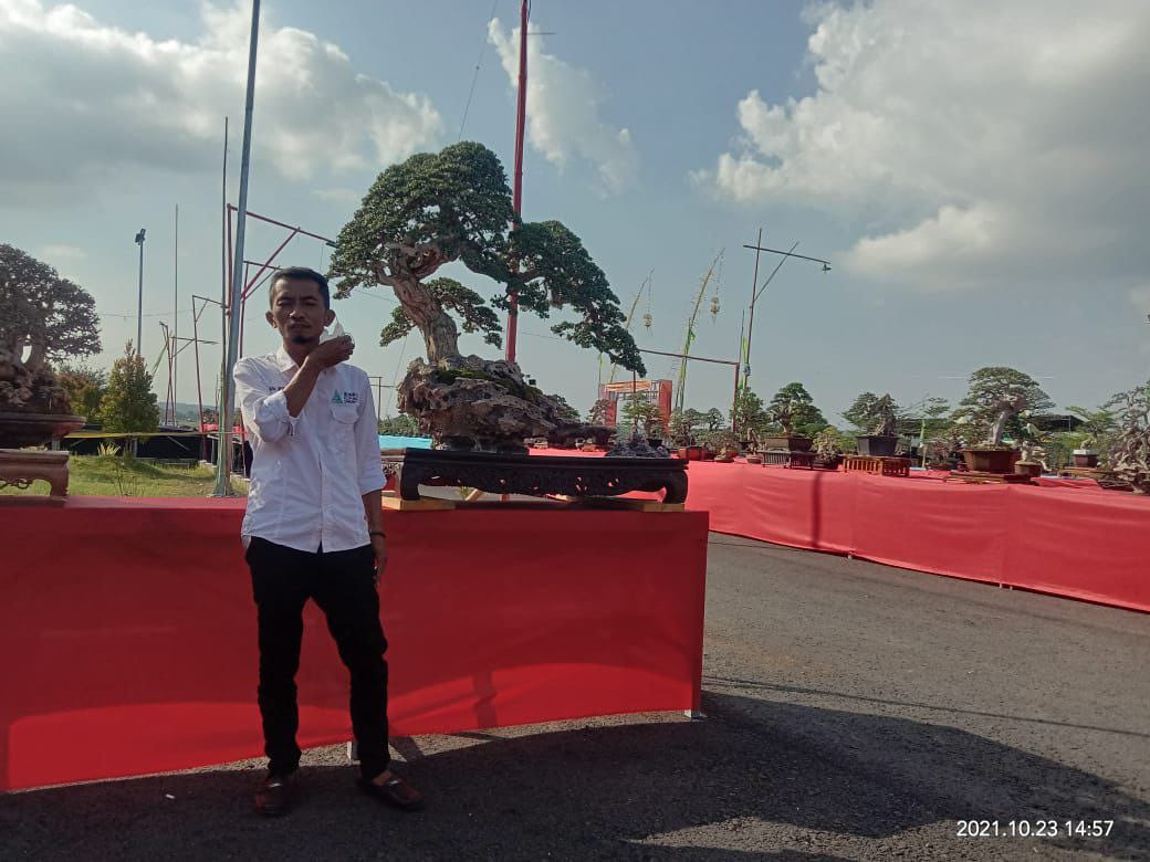 Cara Komunitas Bonsai Memeriahkan Hari Jadi ke 752 tahun Kabupaten Sumenep