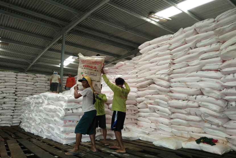Petani Khawatir, Alokasi Pupuk Subsidi 2022 Turun