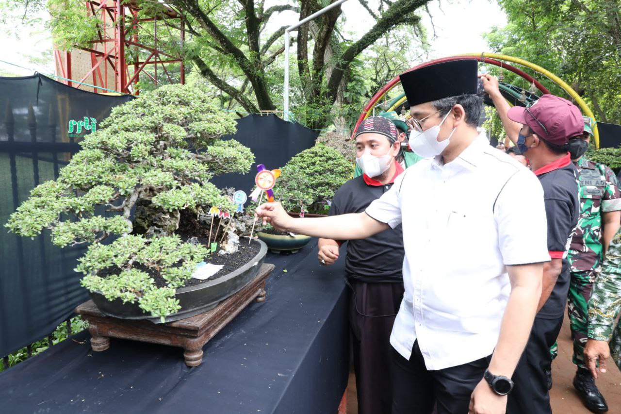 Yuk ke Alun-Alun Paseban, Ada Pameran 490 Bonsai yang Indah