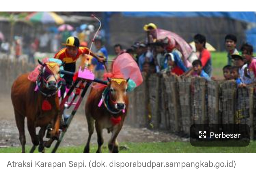 Pemenang Lomba Karapan Sapi Hanya Terima Motor Belum Terima Surat-Suratnya