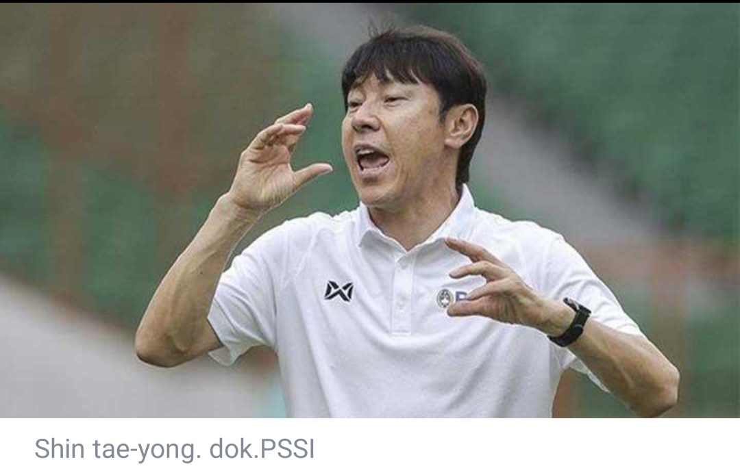Alasan Shin Tae-yong Tak Ajukan Striker untuk Dinaturalisasi ke Timnas Indonesia