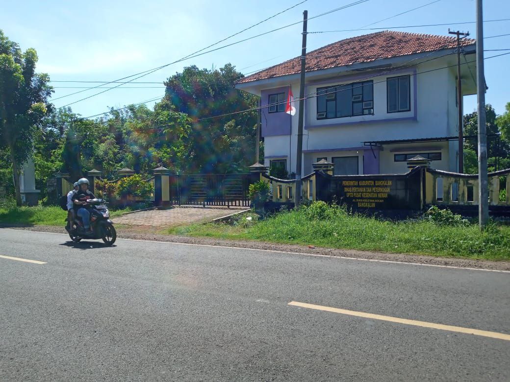 Pembangunan dan Rehap Puskeswan di Bangkalan Dianggarkan Rp 1,7 Miliar