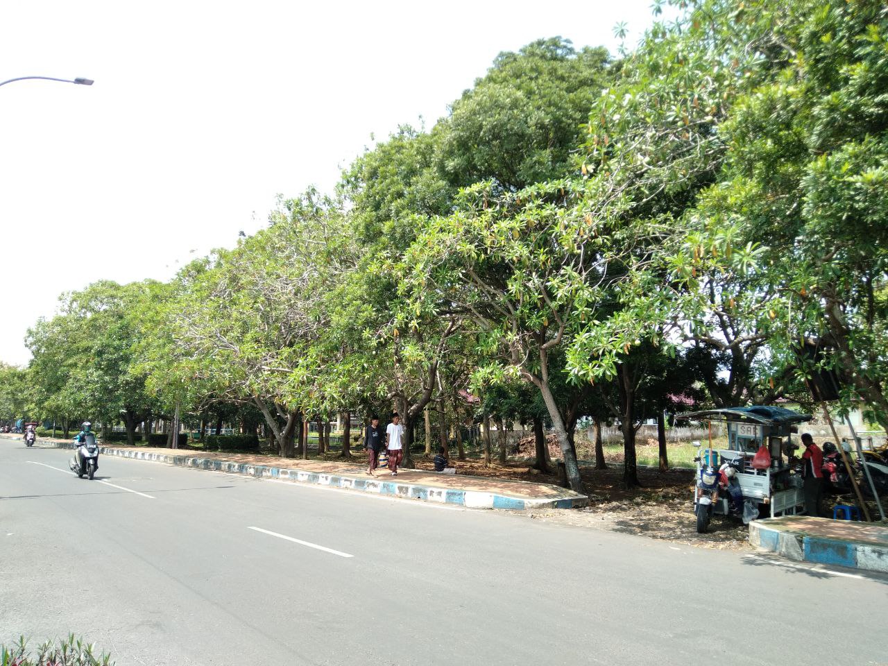 Ketersediaan RTH di Bangkalan Minim