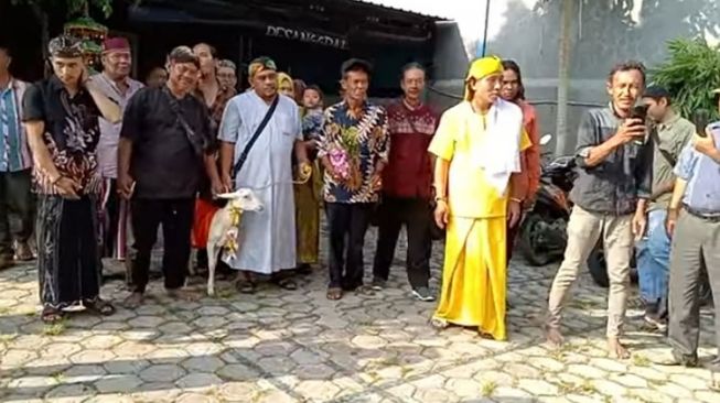 Ditegur Partai, Kader NasDem Gresik Sebut Pernikahan Pria dengan Kambing Hanya Konten