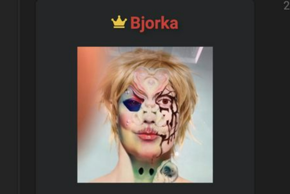 Benarkah Pemuda yang Ditangkap di Madiun adalah Hacker Bjorka?