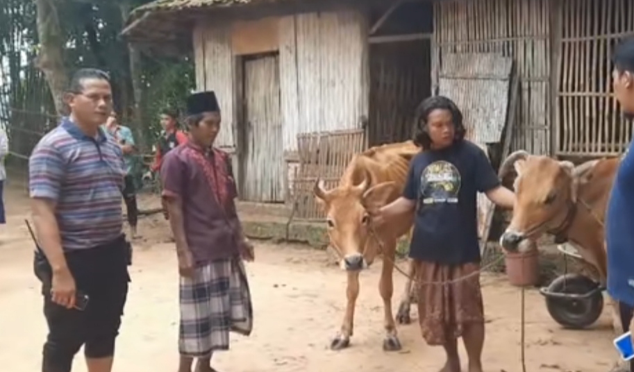 Cerita Warga Namera Kehilangan Sapi, Setelah Diikuti Jejaknya Menuju Desa Ini….