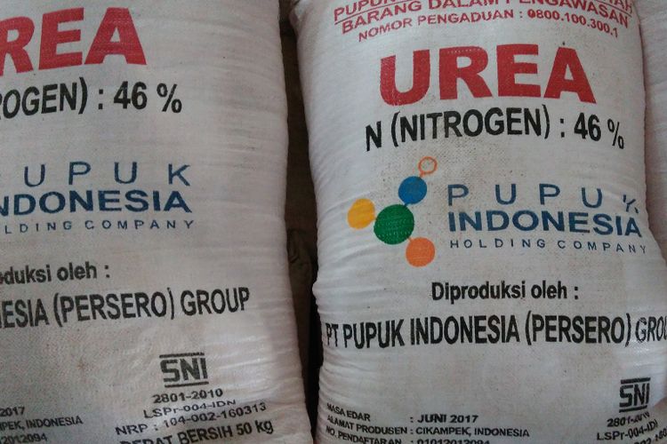 Ketersediaan Pupuk di Bangkalan Dipastikan Aman